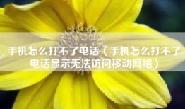 手机怎么打不了电话（手机怎么打不了电话显示无法访问移动网络）