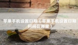 苹果手机设置日期（苹果手机设置日期时间在哪里）