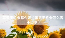 苹果手机卡怎么弄（苹果手机卡怎么弄不出来）