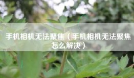 手机相机无法聚焦（手机相机无法聚焦怎么解决）