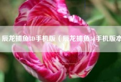 辰龙捕鱼3D手机版（辰龙捕鱼3d手机版本）
