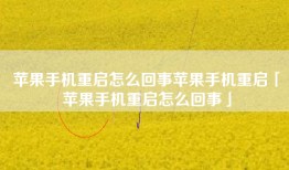 苹果手机重启怎么回事苹果手机重启「苹果手机重启怎么回事」