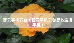 智云手机云台（智云手机云台怎么连接手机）