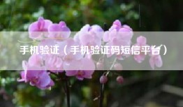 手机验证（手机验证码短信平台）