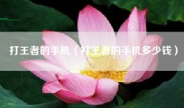 打王者的手机（打王者的手机多少钱）