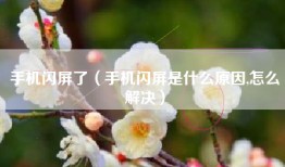 手机闪屏了（手机闪屏是什么原因,怎么解决）