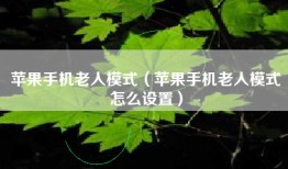 苹果手机老人模式（苹果手机老人模式怎么设置）