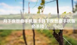 月下夜想曲手机版（月下夜想曲手机版必杀技）