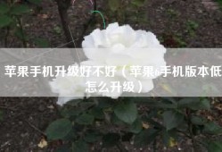 苹果手机升级好不好（苹果6手机版本低怎么升级）