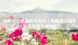 电瓶可以给手机充电吗（电瓶可以用手机充电器充电吗）