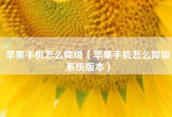 苹果手机怎么降级（苹果手机怎么降级系统版本）