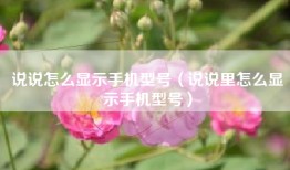 说说怎么显示手机型号（说说里怎么显示手机型号）