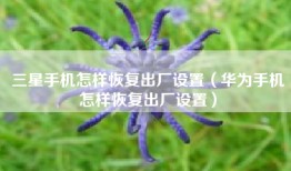 三星手机怎样恢复出厂设置（华为手机怎样恢复出厂设置）