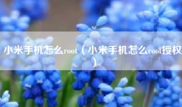 小米手机怎么root（小米手机怎么root授权）