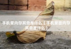 手机里内存其他是什么（手机里面内存其他是什么）
