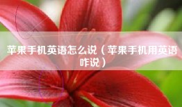 苹果手机英语怎么说（苹果手机用英语咋说）