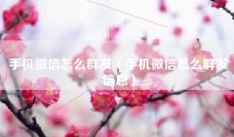 手机微信怎么群发（手机微信怎么群发信息）