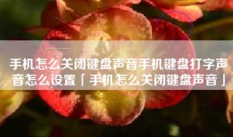 手机怎么关闭键盘声音手机键盘打字声音怎么设置「手机怎么关闭键盘声音」