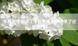 手机充电器头（手机充电器头进水了还能用吗）