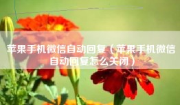 苹果手机微信自动回复（苹果手机微信自动回复怎么关闭）