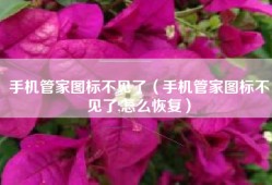 手机管家图标不见了（手机管家图标不见了,怎么恢复）
