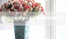 微信手机解绑（微信手机解绑手机号）