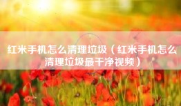 红米手机怎么清理垃圾（红米手机怎么清理垃圾最干净视频）