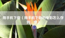 用手机下载（用手机下载的电影怎么存到∪盘）