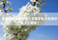 苹果手机字体加粗（苹果手机怎样调字体大小粗细）