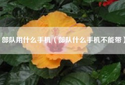 部队用什么手机（部队什么手机不能带）