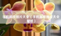 手机游戏图片大全（手机游戏图片大全壁纸）