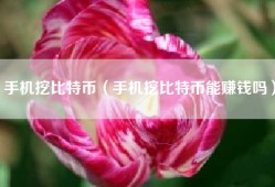 手机挖比特币（手机挖比特币能赚钱吗）