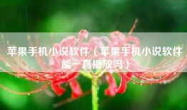 苹果手机小说软件（苹果手机小说软件能一直播放吗）