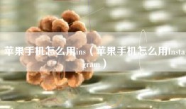 苹果手机怎么用ins（苹果手机怎么用Instagram）