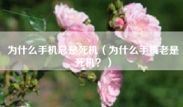 为什么手机总是死机（为什么手机老是死机？）