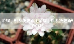 荣耀手机系统更新（荣耀手机系统更新9.0官网）