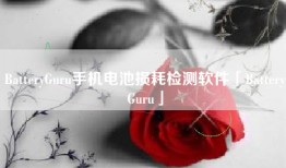BatteryGuru手机电池损耗检测软件「BatteryGuru」