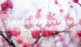 车模手机壁纸（车模壁纸手机1080）
