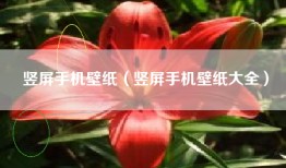 竖屏手机壁纸（竖屏手机壁纸大全）