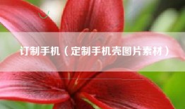 订制手机（定制手机壳图片素材）
