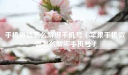 手机微信怎么解绑手机号（苹果手机微信怎么解绑手机号）