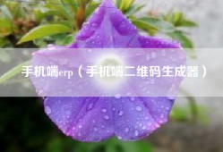 手机端erp（手机端二维码生成器）