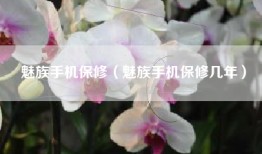 魅族手机保修（魅族手机保修几年）