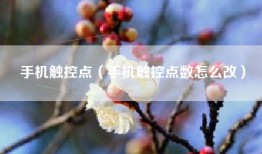 手机触控点（手机触控点数怎么改）