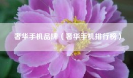 奢华手机品牌（奢华手机排行榜）