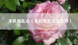 手机屏乱点（手机屏乱点怎么办）