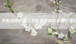 手机进路由器（手机进路由器设置方法）