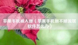 苹果手机被入侵（苹果手机删不掉流氓软件怎么办）