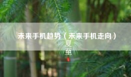未来手机趋势（未来手机走向）