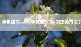 手机播放wmv（手机播放wmv的正确方法）